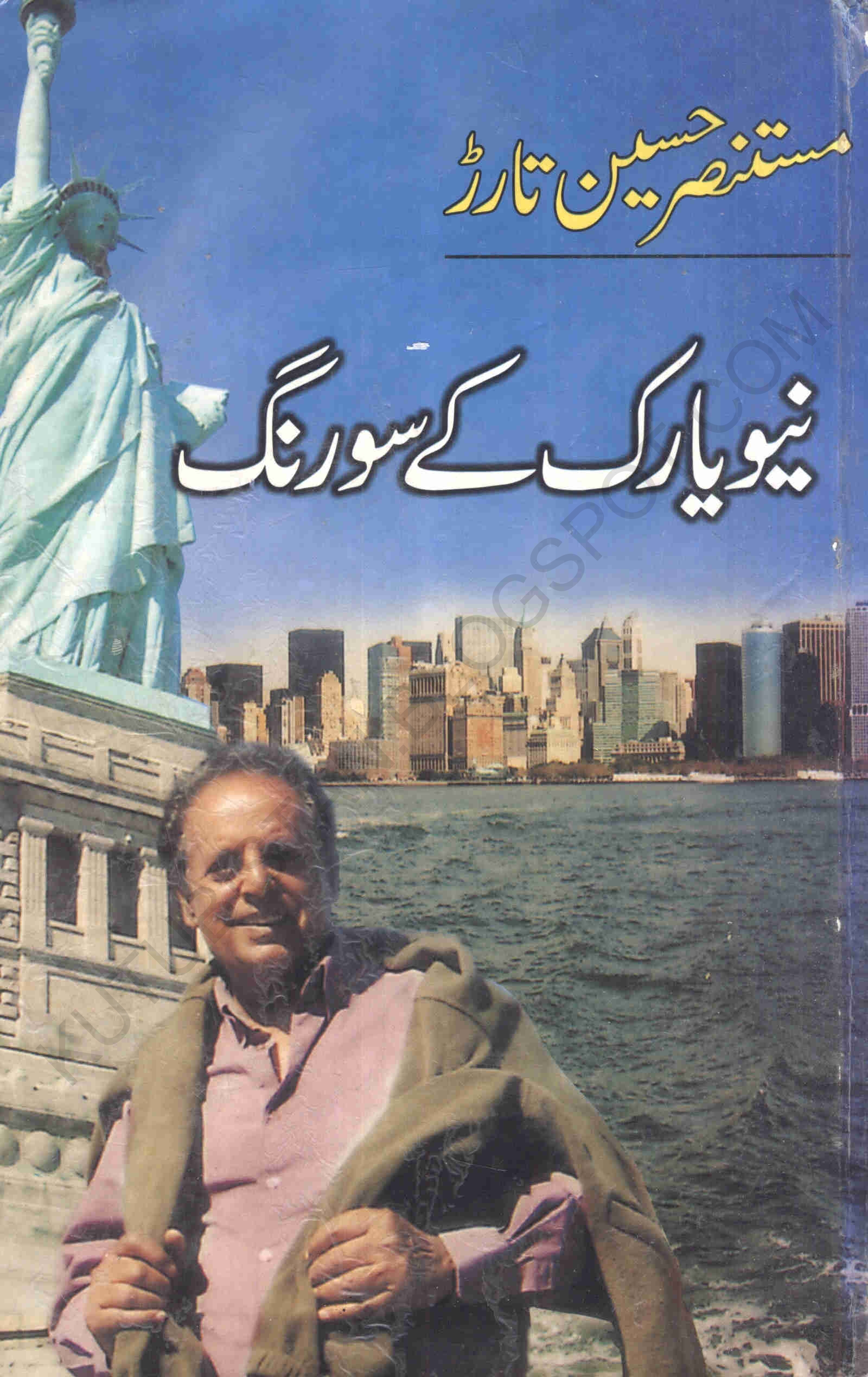 نیویارک کے سو رنگ Cover